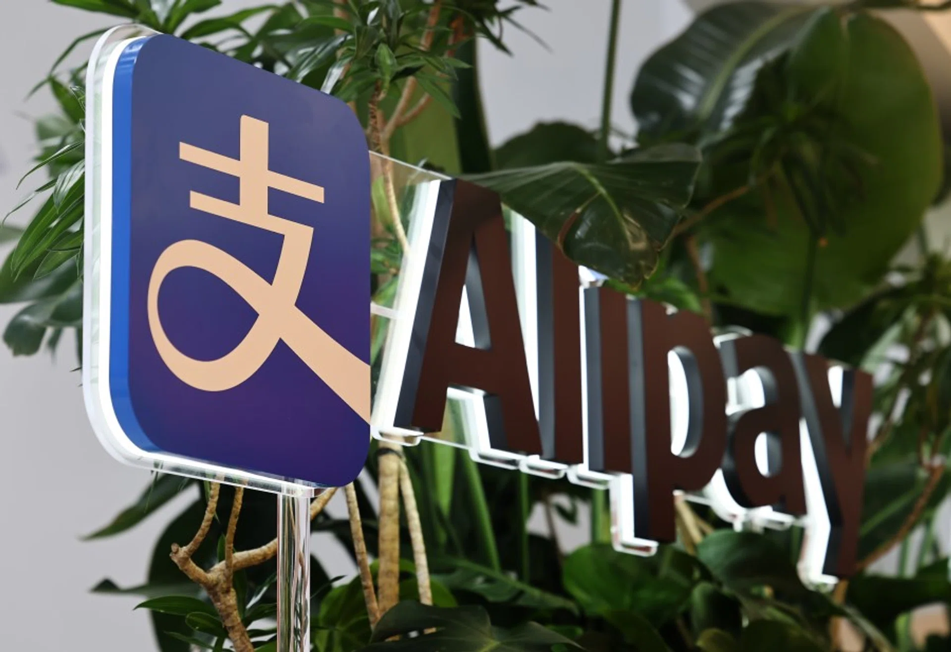 Has Alipay become a state-owned enterprise?