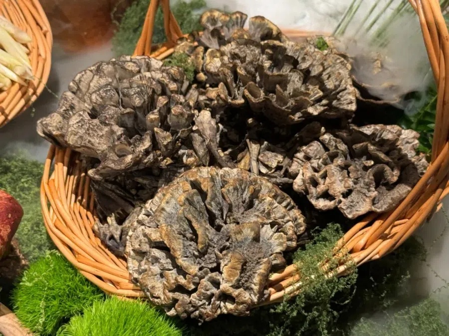 A basket of ganba mushrooms.