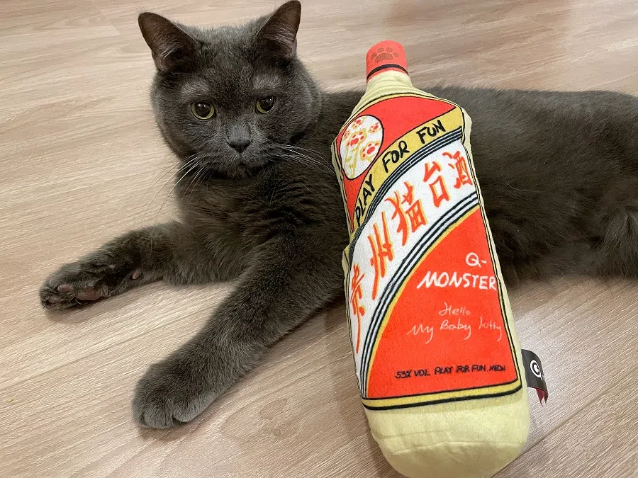 A local Chinese brand of pet toys has grown popular among younger pet owners. (Photo provided by interviewee)