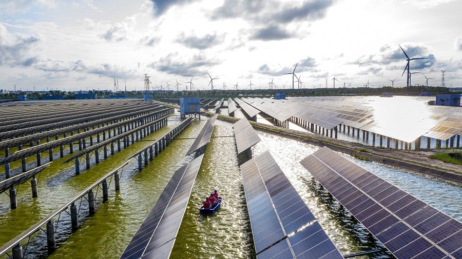 This photo taken on 19 July 2021 shows electrical workers (centre) in a boat as they check solar panels at a photovoltaic power station built in a fishpond in Hai'an, Jiangsu province, China. (STR/AFP)