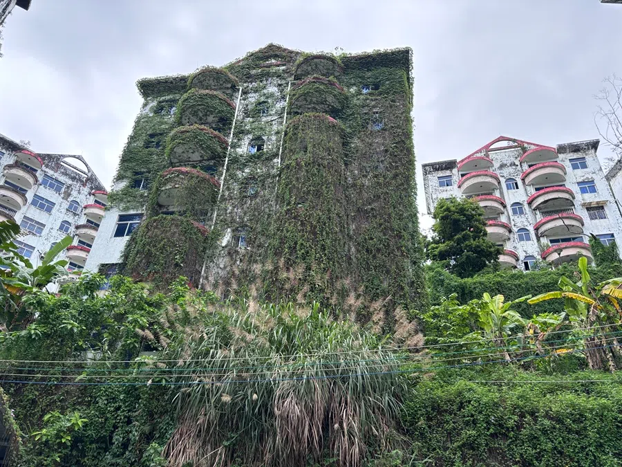 An abandoned residential building in Australia Garden Village completely covered by dense ivy.