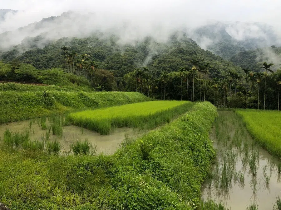 Cihalaay cultural landscape area, Fuli township, Hualien county, Taiwan. (Facebook/蔣勳)