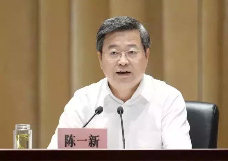 Secretary-general of the Central Political and Legal Affairs Commission Chen Yixin. (Internet)