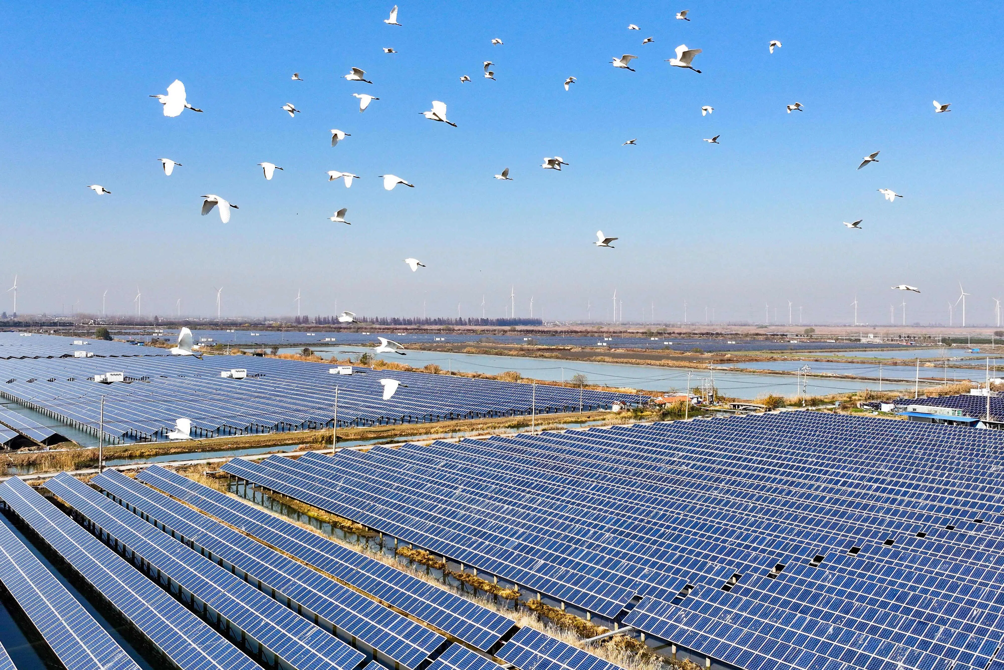 Solar panels at a “fishing and light complementary solar photovoltaic base” in China’s Jiangsu province on 16 December 2024. (AFP)
