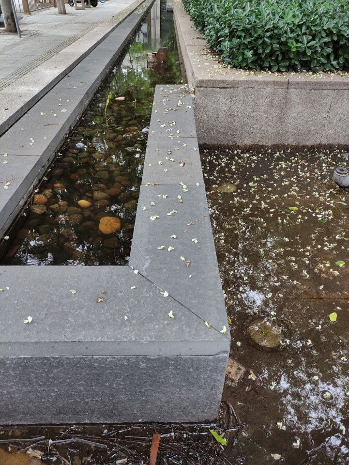 Stagnant water is the perfect breeding ground for mosquitoes. (Photo: Jessie Tan)