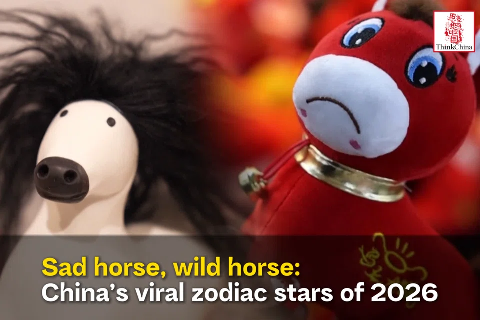 [Video] Sad horse, wild horse: China’s viral zodiac stars of 2026