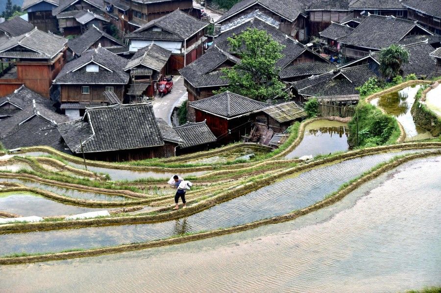 This photo taken on 24 April 2021 shows a farmer walking along terraced rice paddy fields in Congjiang, Guizhou province, China. (STR/AFP)