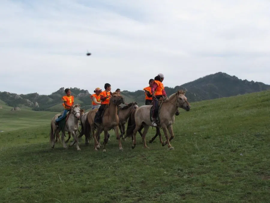 Mongolian horses in Mongolia are not shod (except in extremely special conditions requiring anti-slip measures), while horses in Inner Mongolia and among most nomadic peoples elsewhere in the world are almost always fitted with horseshoes.