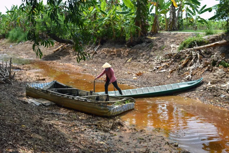 This photo taken on 23 February 2024 shows a farmer crossing over an almost completely dried up canal in southern Vietnam’s Ca Mau province, amid a long heatwave. (Tan Dien/AFP)