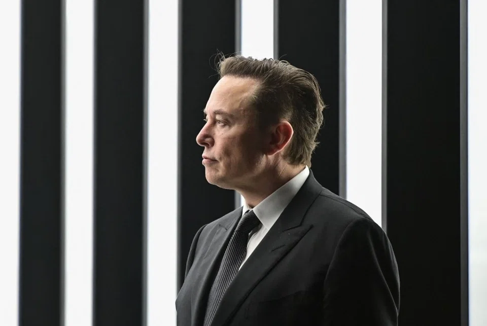 In this file photo taken on 22 March 2022, Tesla CEO Elon Musk is pictured as he attends the start of the production at Tesla's "Gigafactory" in Gruenheide, southeast of Berlin. (Patrick Pleul/AFP)