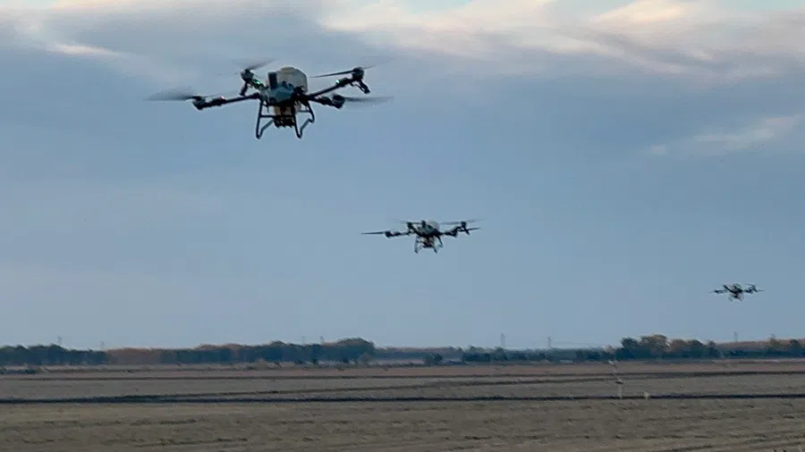 A demonstration of how unmanned aerial vehicles are used for crop protection at Qixing Farm, Beidahuang, Heilongjiang, China, 29 September 2026.