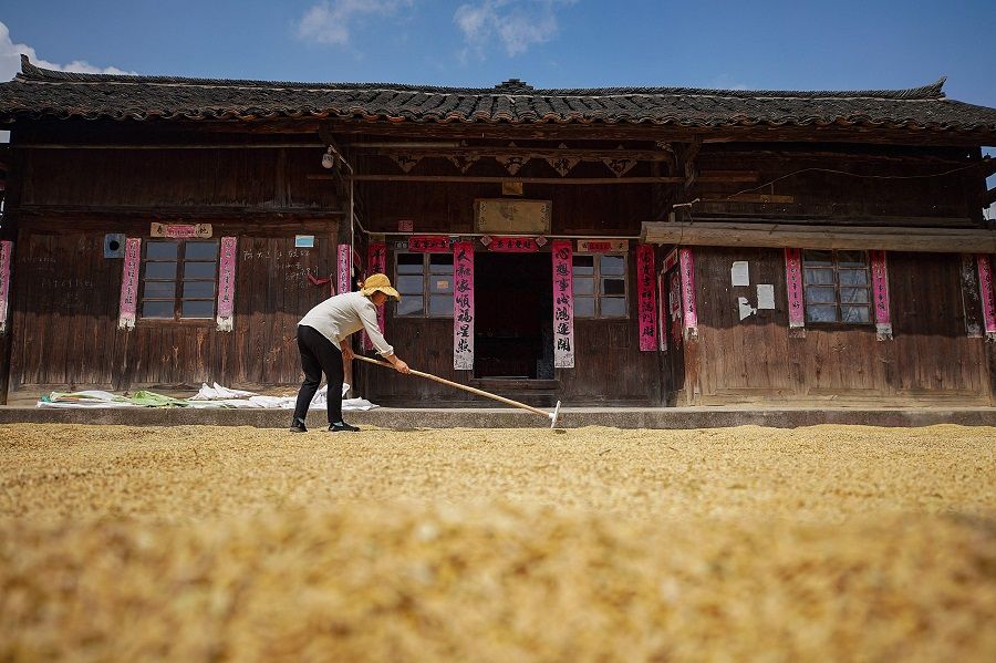 This photo taken on 17 September 2022 shows a farmer drying rice during the harvest season in Danzhai, Guizhou province, China. (AFP)