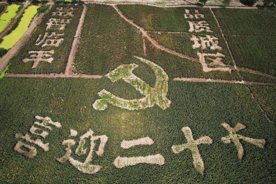This aerial photo taken on 26 September 2022 shows an image welcoming the 20th Communist Party Congress, created by growing red sorghum, in a field in Hangzhou, in China's eastern Zhejiang province. (AFP)