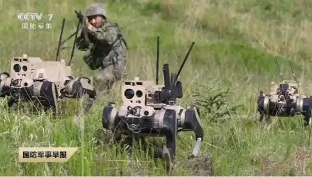 The deployment of robot wolves in amphibious combat drills has quickly captured the attention of military enthusiasts on both sides of the strait. (Internet)