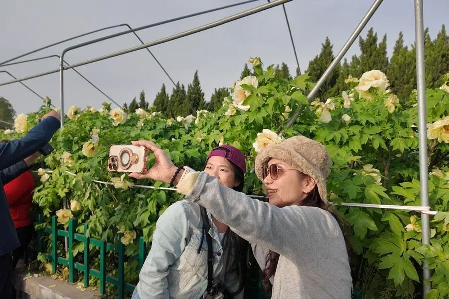 Taiwanese tourists join a trip jointly organised by the Taiwan affairs office and culture and tourism bureau of Henan province, 20 April 2026. (CNS)