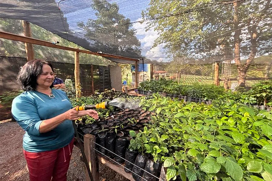 A woman waters plants at a seedling programme backed by CMOC in Brazil. (Zhao Xuan/Caixin)