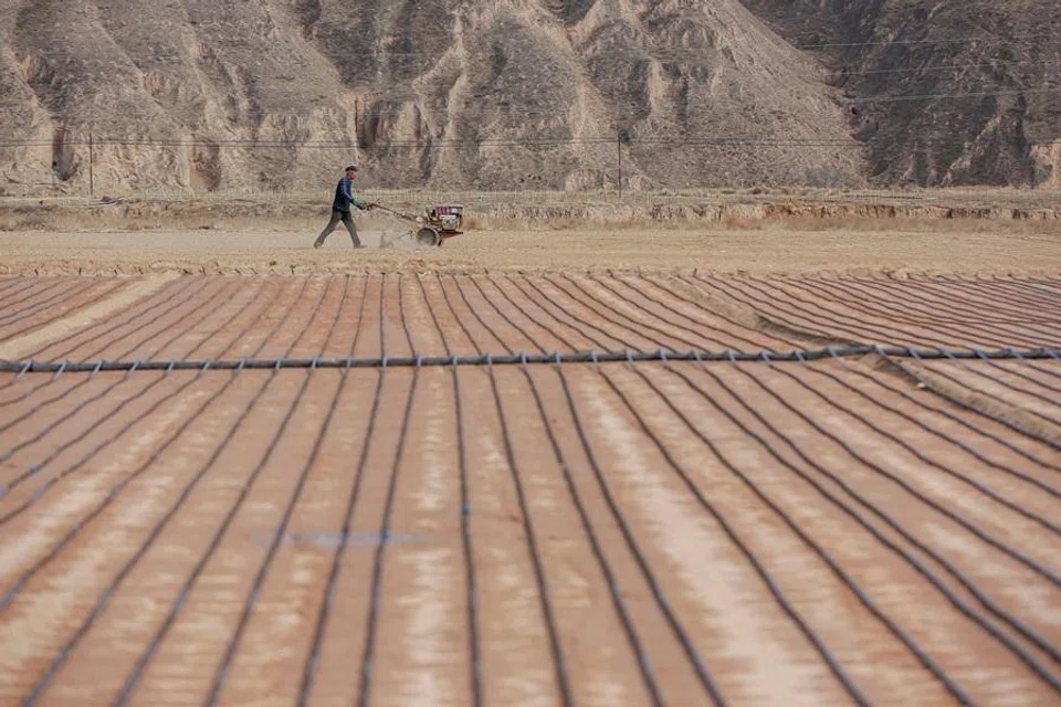 China’s seed war for food security and supply chains