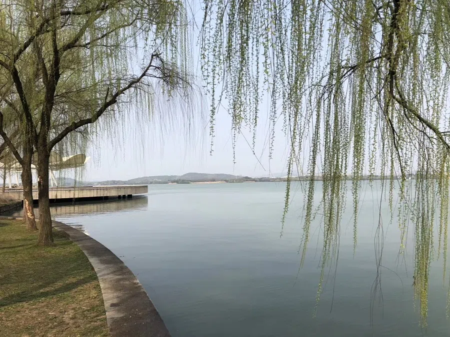 A view of Lake Tai. (Photo: Tyyyyyyyyy/Licensed under CC BY-SA 4.0)