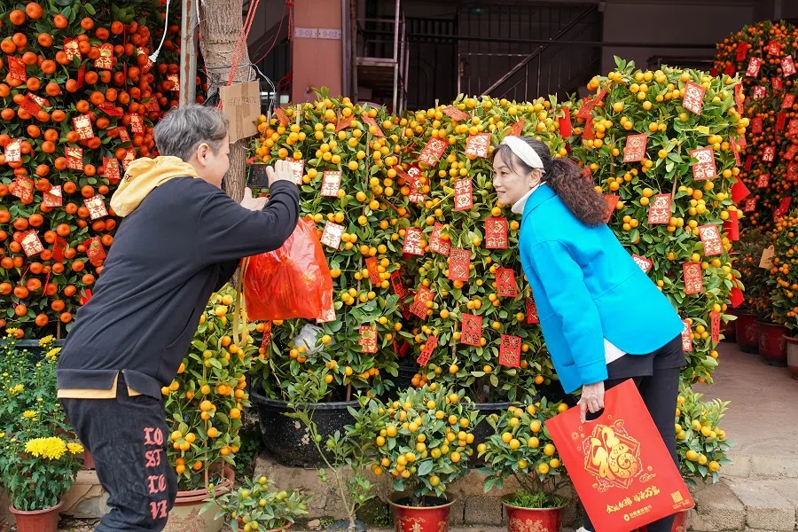 A display of kumquats for sale at a market in Nanning, Guangxi province, on 25 January 2025. (CNS)