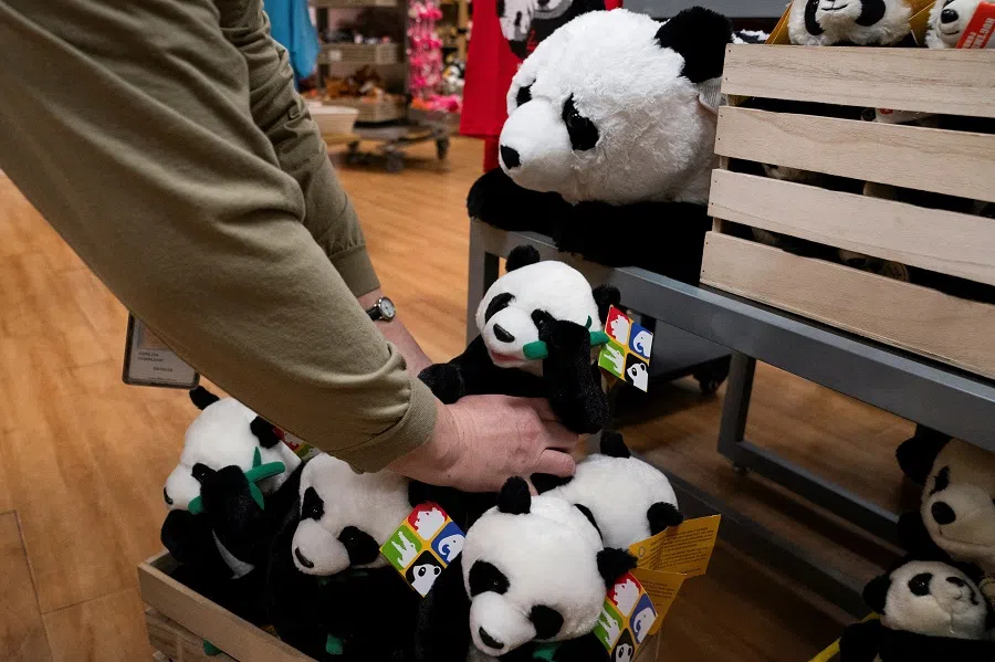 A staff member restocks Giant Panda stuffed animals during an event to mark the arrival of two three-year-old giant pandas from China, at the Smithsonian National Zoo in Washington, US, on 16 October 2024.