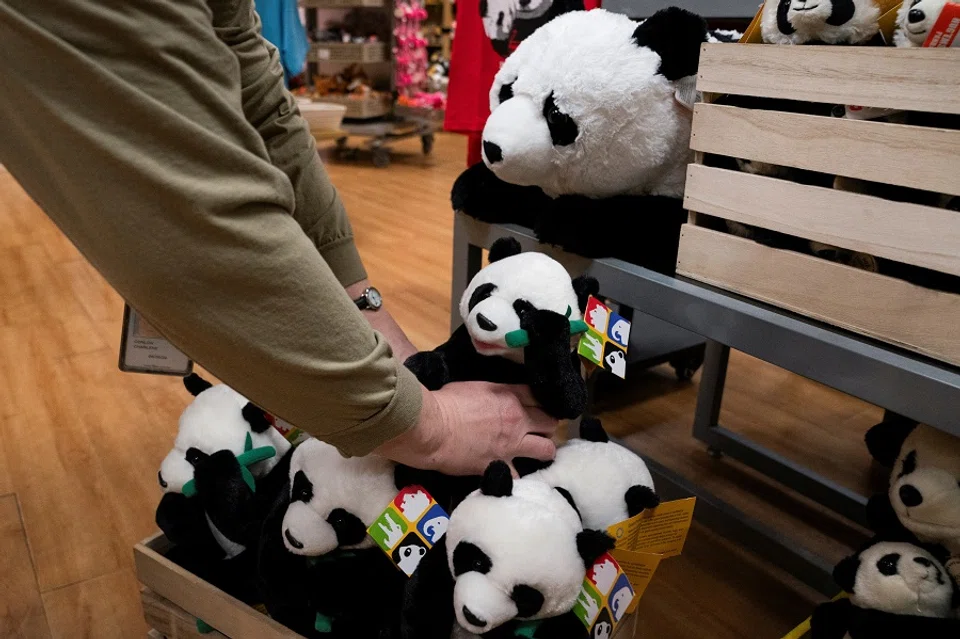 A staff member restocks Giant Panda stuffed animals during an event to mark the arrival of two three-year-old giant pandas from China, at the Smithsonian National Zoo in Washington, US, on 16 October 2024. (Nathan Howard/Reuters)