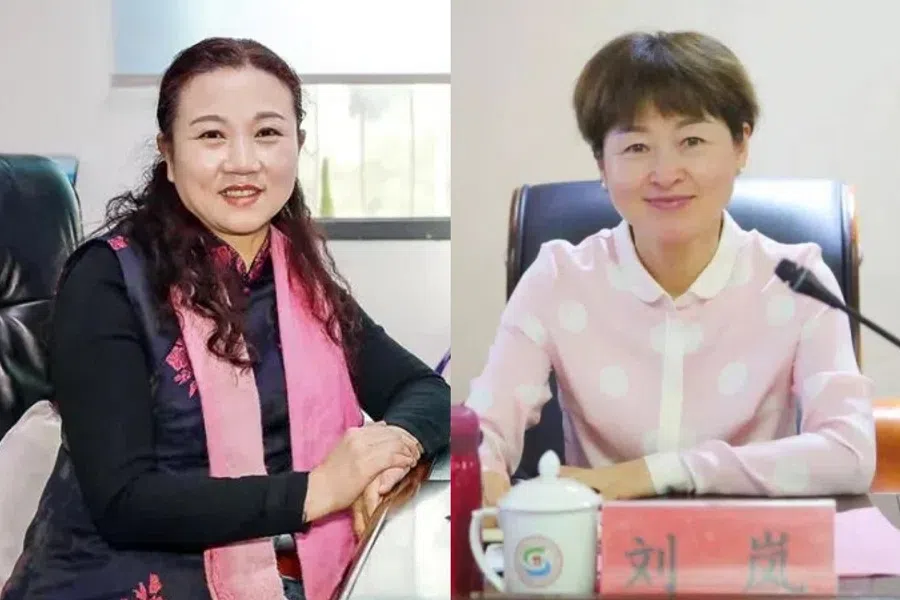 Jing Yaping (left) and Liu Lan have both been announced to be under investigation for corruption. (Internet)