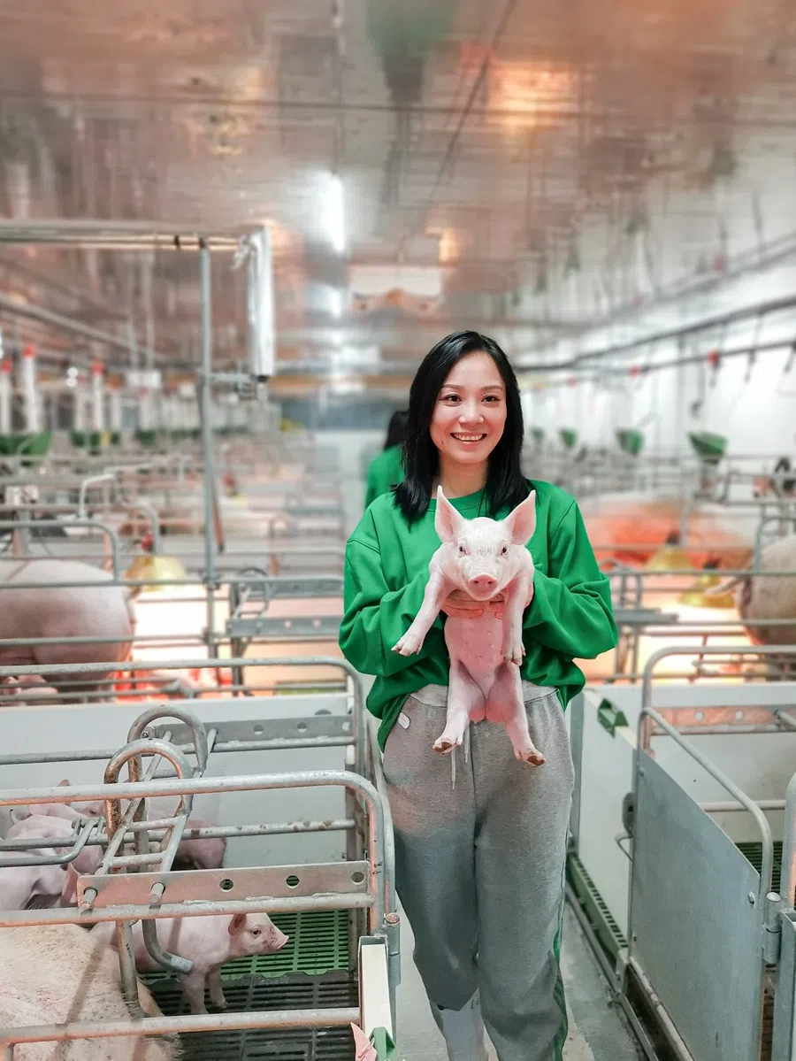 In 2021, Liu Chang visited a pig farm in Huanghua, Hebei. (Photo provided by interviewee)