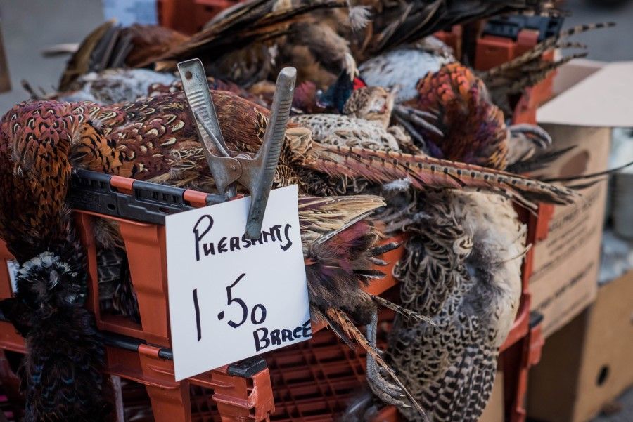 Pheasants on sale at a market. (iStock)