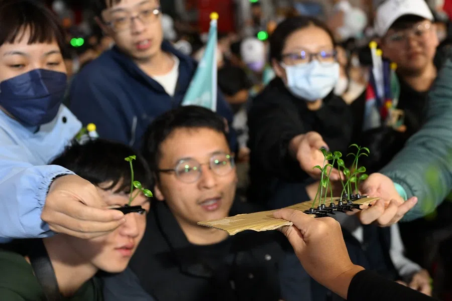 A volunteer distributes “little grass” hairpins at the rally of Dr Ko Wen-je, presidential candidate for the Taiwan People’s Party (TPP) in Tainan on 8 January 2024. (SPH Media)
