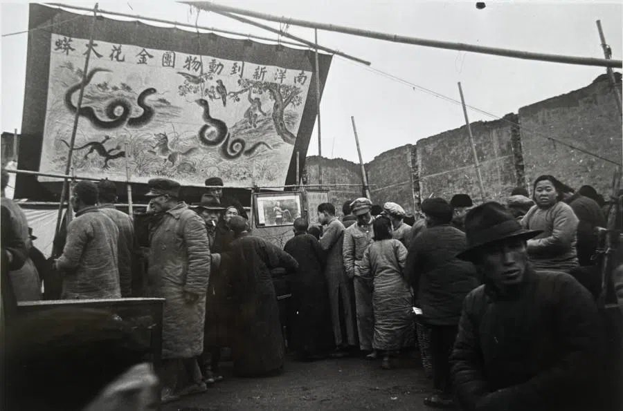The bustling market at the Confucius Temple, featuring displays of rare and exotic animals. The sign advertises newly arrived animals from Nanyang (Southeast Asia), including a large python.