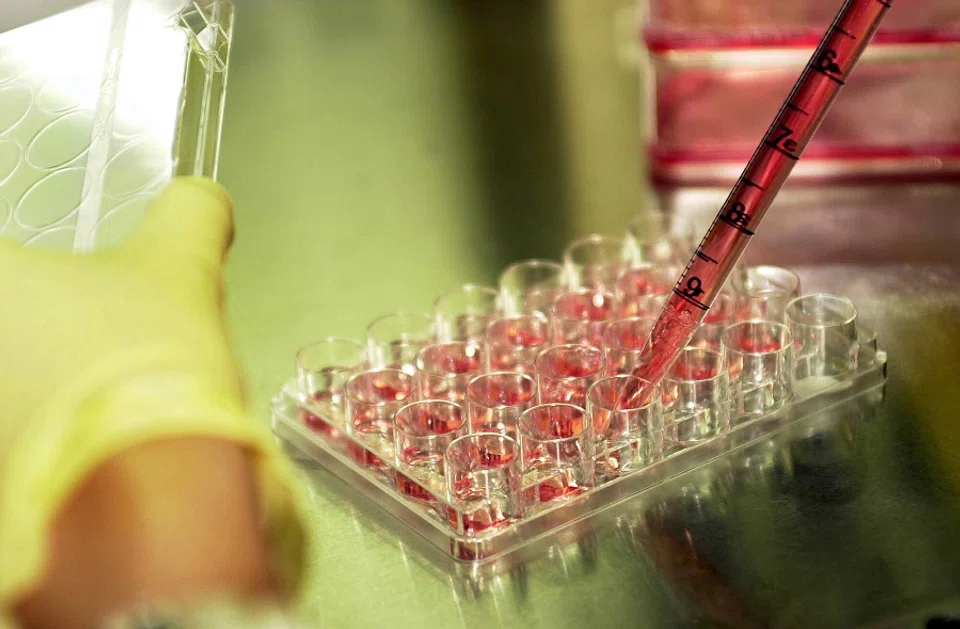 A researcher checks the function of genes in living cells. (SPH Media)