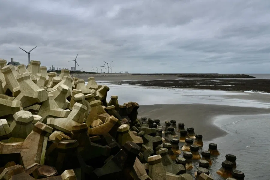 An algae reef zone is seen at the coast of the Guanyin district in Taoyuan on 25 November 2021. (Sam Yeh/AFP)