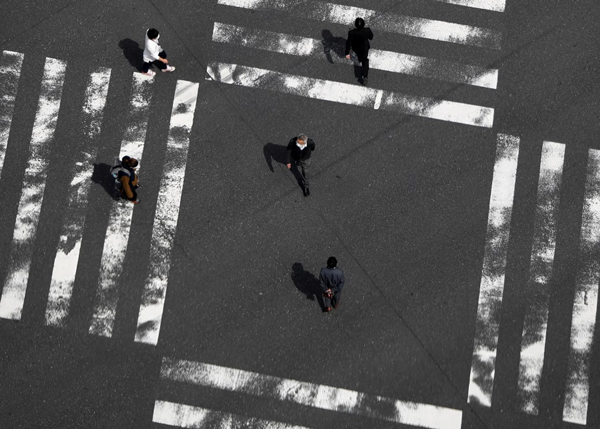 Japanese academic: Japan and China can still find common ground, Politics News