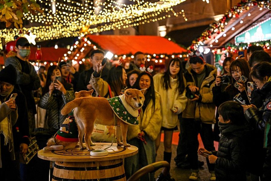 People take pictures of dogs while visiting a Christmas market in the Huangpu district in Shanghai on 6 December 2023. (Hector Retamal/AFP)