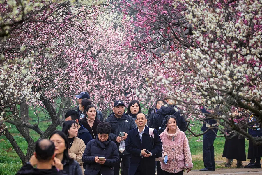 People walk past plum blossoms in Nanjing, in China's eastern Jiangsu province on 19 February 2024. (AFP)