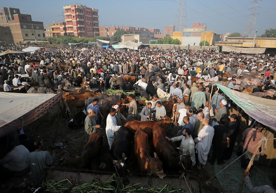 A general view of a cattle market in Al Manashi village, ahead of the Muslim festival of sacrifice Eid al-Adha, in Giza, on the outskirts of Cairo, Egypt, 15 July 2021. (Mohamed Abd El Ghany/Reuters)