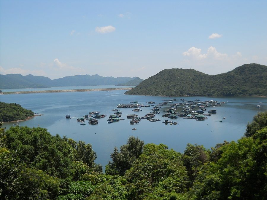 Yim Tin Tsai in Hong Kong, located in Tolo Harbour and forms part of the southern border of Plover Cove. (Photo: Chong Fat/Licensed under CC BY-SA 3.0)