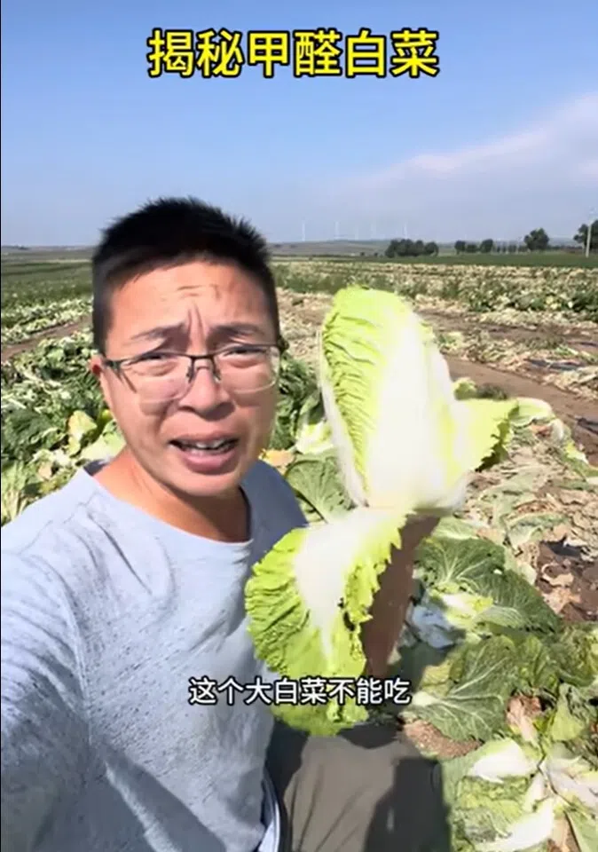A screen shot from a video by independent blogger Yulie Qige about formaldehyde in cabbage in China.