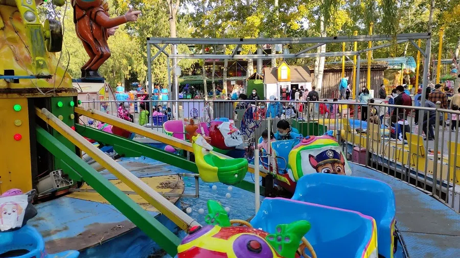 Amusement rides in a park.