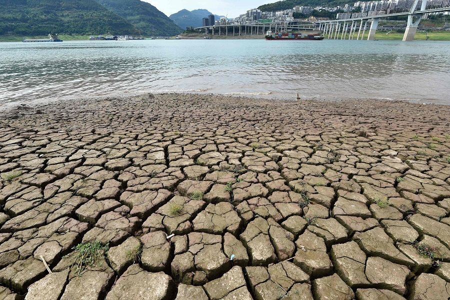 This photo taken on 16 August 2022 shows a section of a parched riverbed along the Yangtze River in Chongqing, China. (AFP)