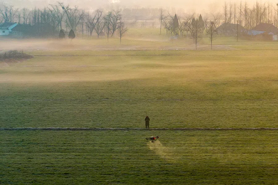 A farmer sprays pesticide with a drone in a wheat field in Taizhou, Jiangsu province, China, on 28 February 2023. (AFP)