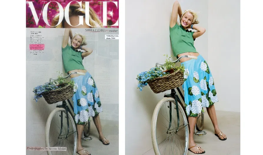 Andrew Gn's skirt with hydrangea embroidery shot by Vogue USA, June 2004.