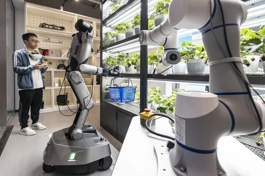 A student trains a humanoid robot to pick strawberries in the Future Learning Center at Zhejiang University's Zijingang Campus in Hangzhou, China, on 2 June 2026.