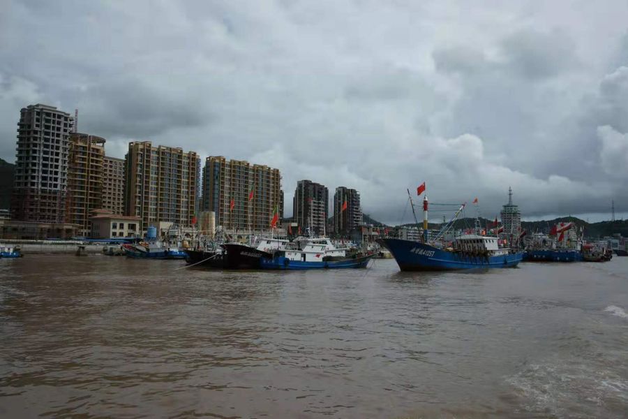 I would go to the Shenjiamen fishing port to look at docked ships and dried seafood. (Photo: Shu Jie, provided by Chen Nahui)
