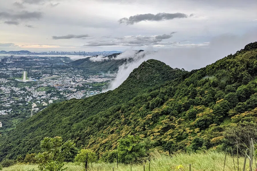 Kwun Yum Shan (观音山). (Facebook/嘉道理農場暨植物園 Kadoorie Farm and Botanic Garden)