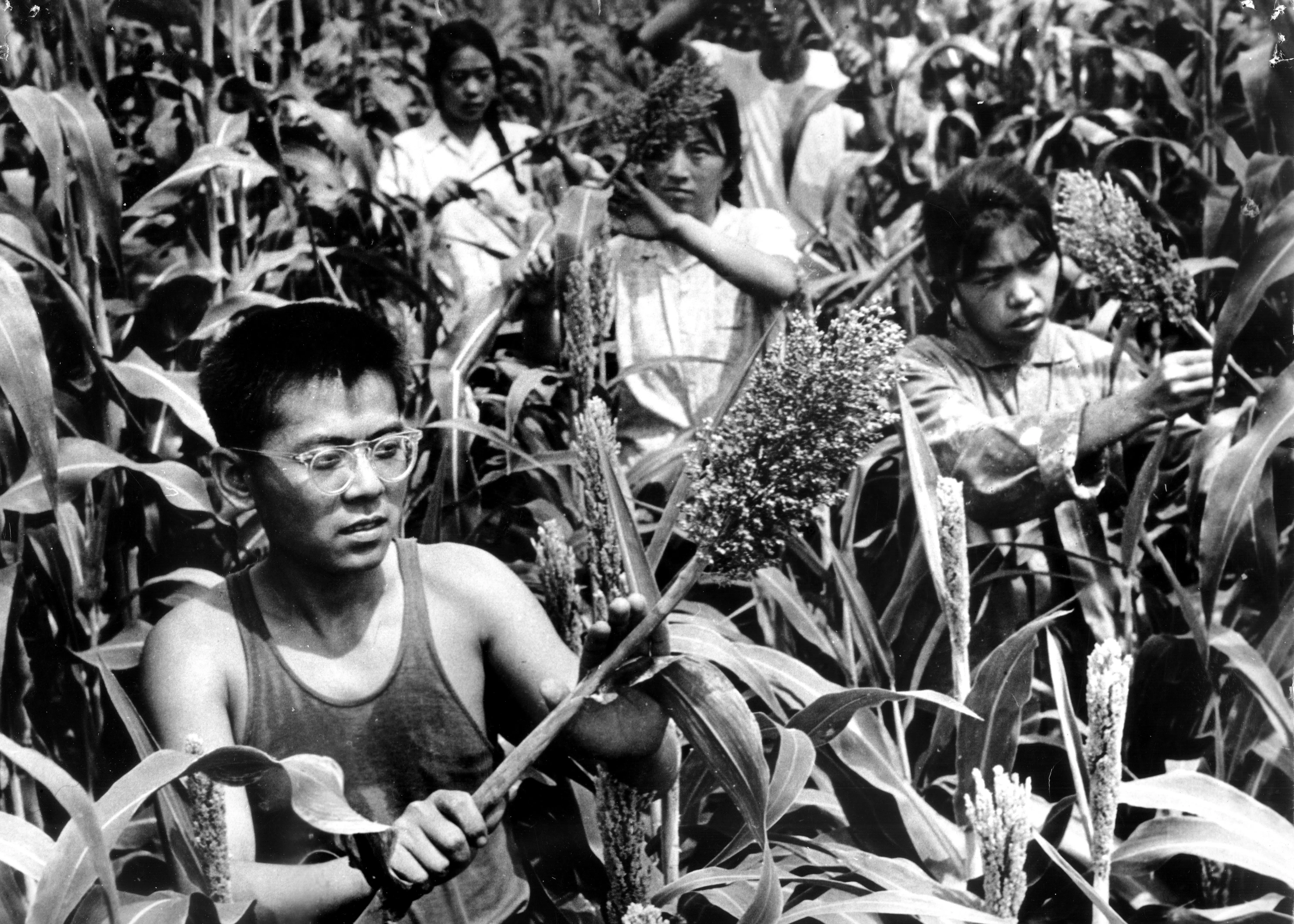 Chinese intellectual youths went to the countryside to receive re-education, 1968.