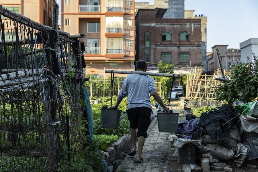A resident carries water to his vegetable garden in the village of Fushan in Dongguan, Guangdong province, China, on 14 October 2022. (Qilai Shen/Bloomberg)