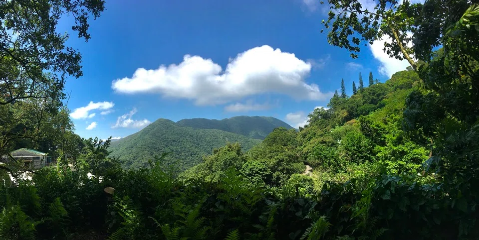 The natural landscape of Kadoorie Farm and Botanic Garden in Hong Kong. (iStock)