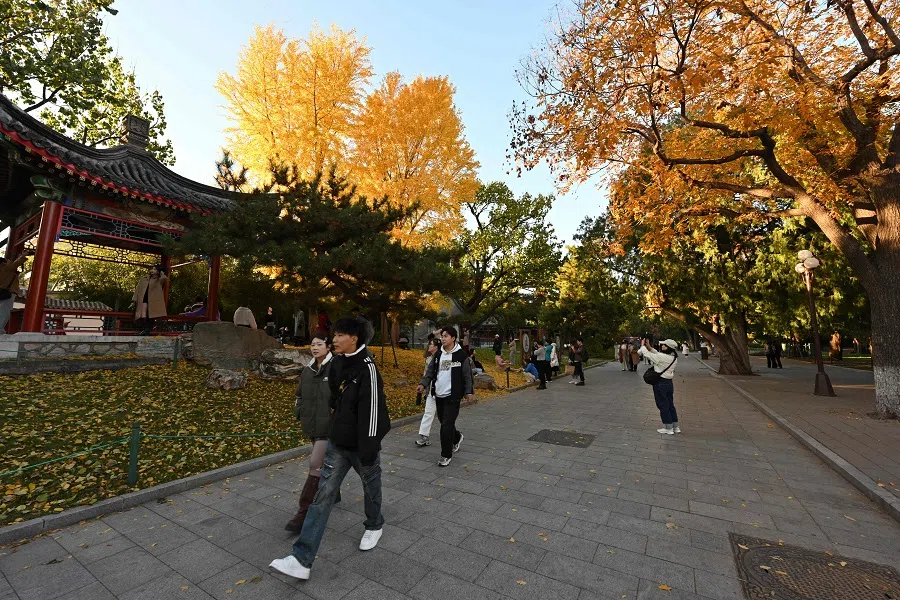People visit Zhongshan Park to see the autumn colours on the trees in Beijing on 4 November 2024. (Adek Berry/AFP)