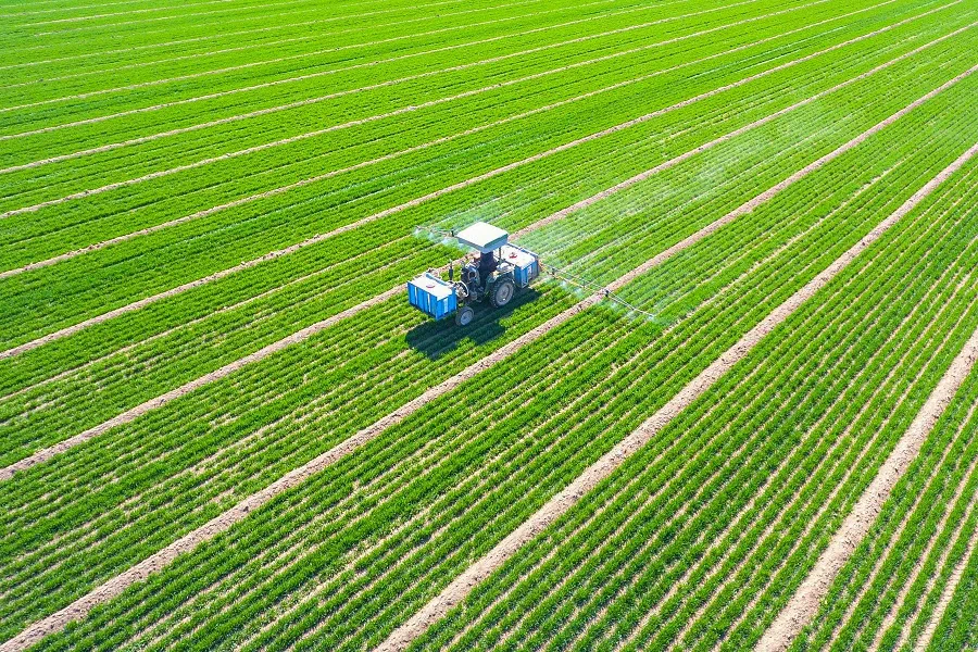 This aerial photo shows a farmer driving a tractor to spray pesticides on a wheat field in Liaocheng, in eastern China's Shandong province on 20 March 2024. (AFP)
